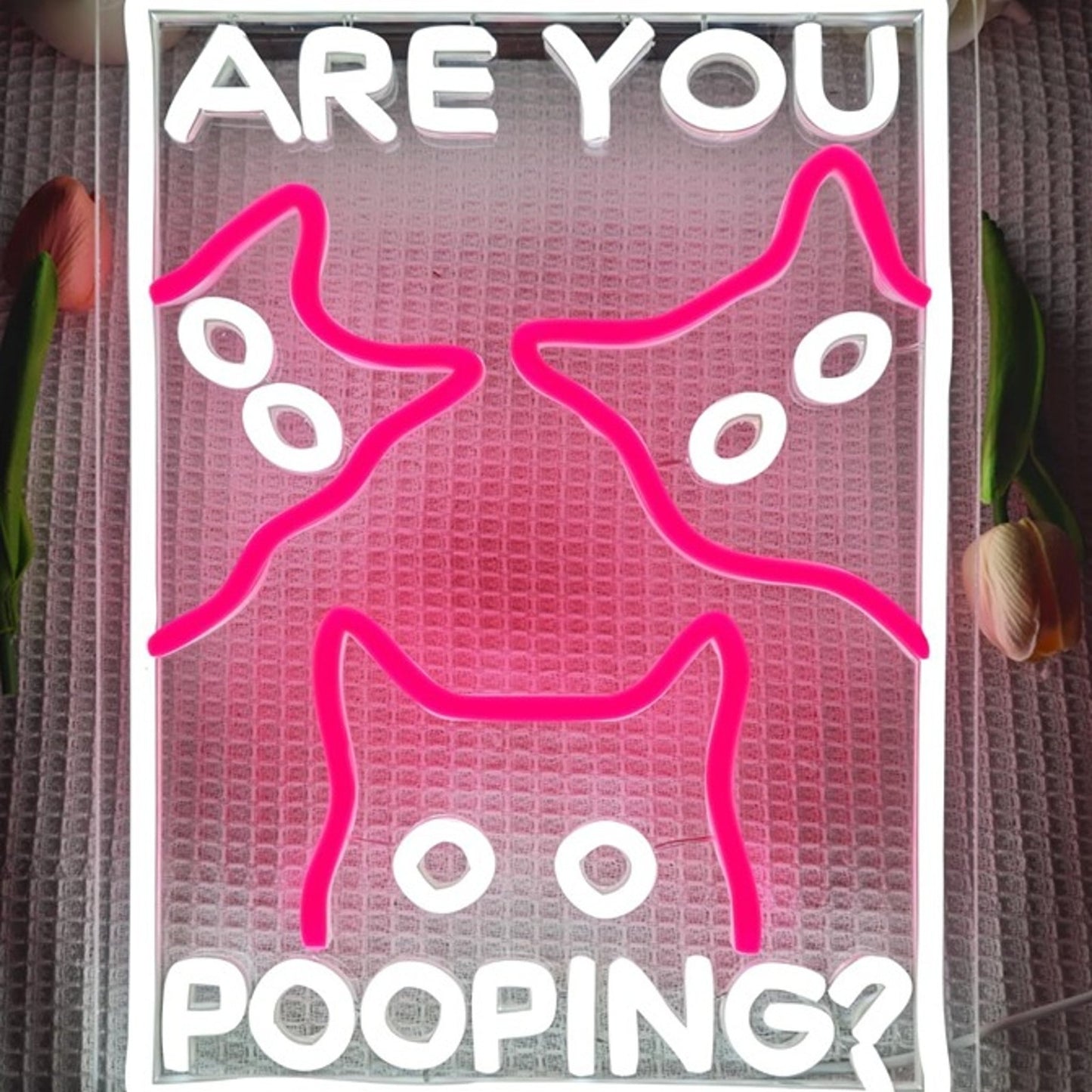Funny Bright Pink Kitty Cats “Are You Pooping?” LED Night Light Room Wall Decor