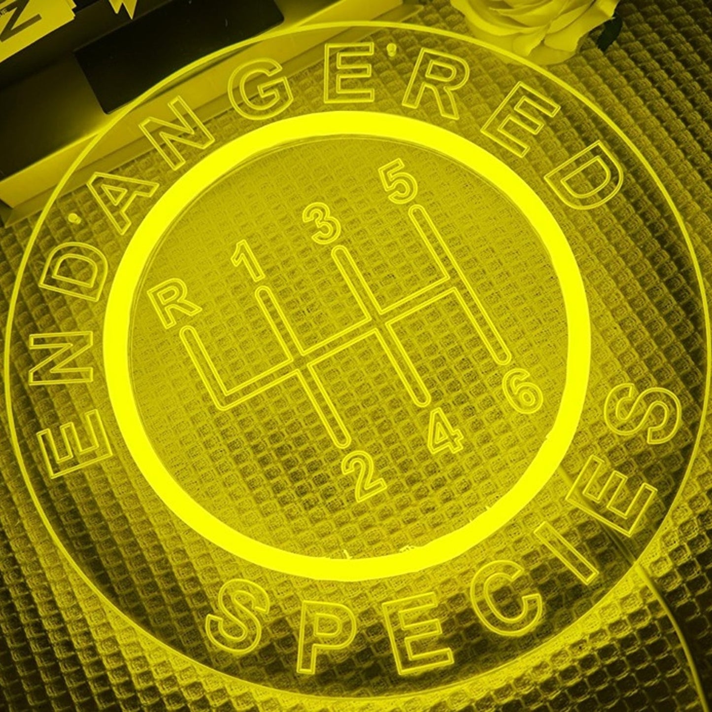 Fun Bright Yellow Car Gearbox “Endangered Species” LED Light Room Wall Decor