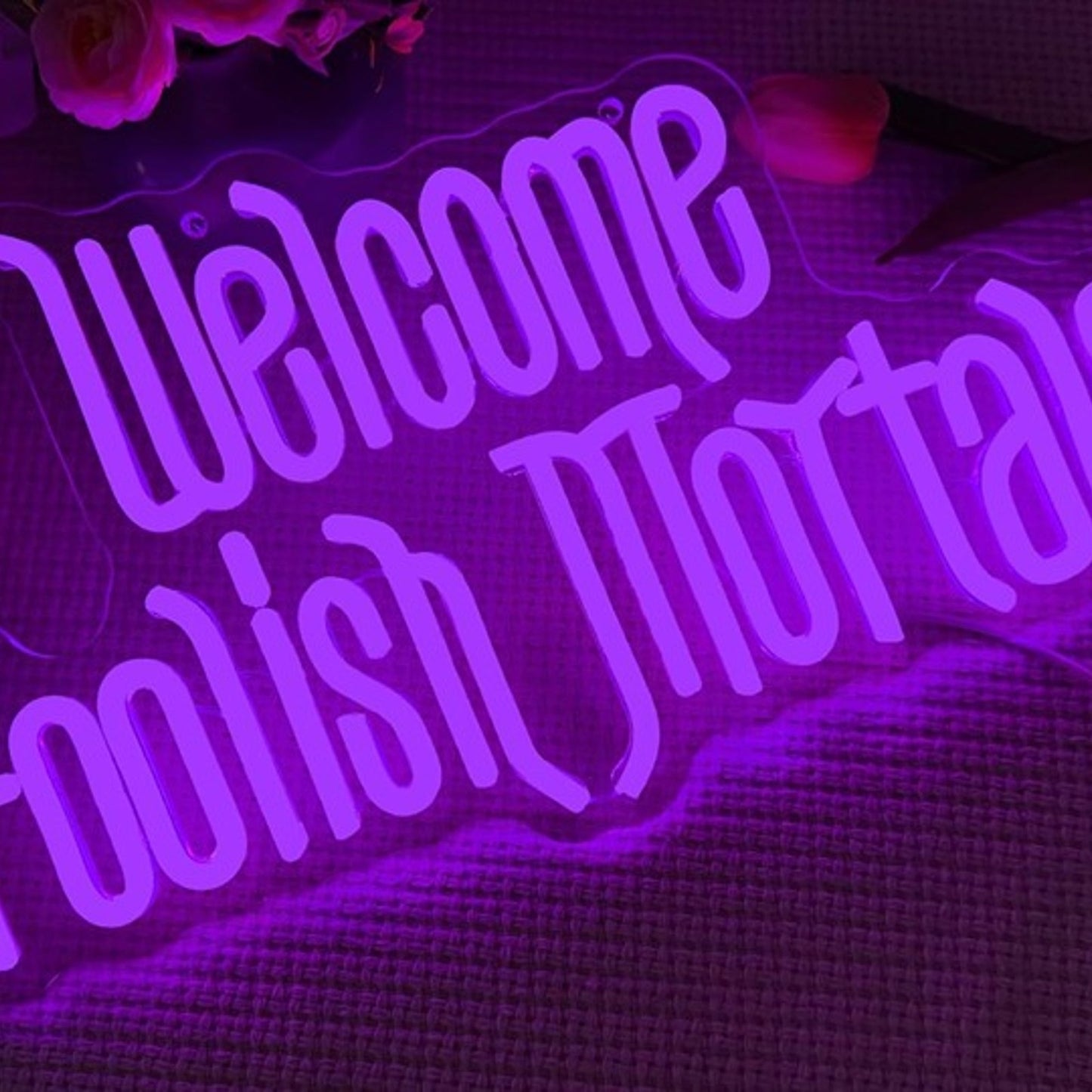Fun Bright Purple “Welcome Foolish Mortals” LED Night Light Room Wall Decor