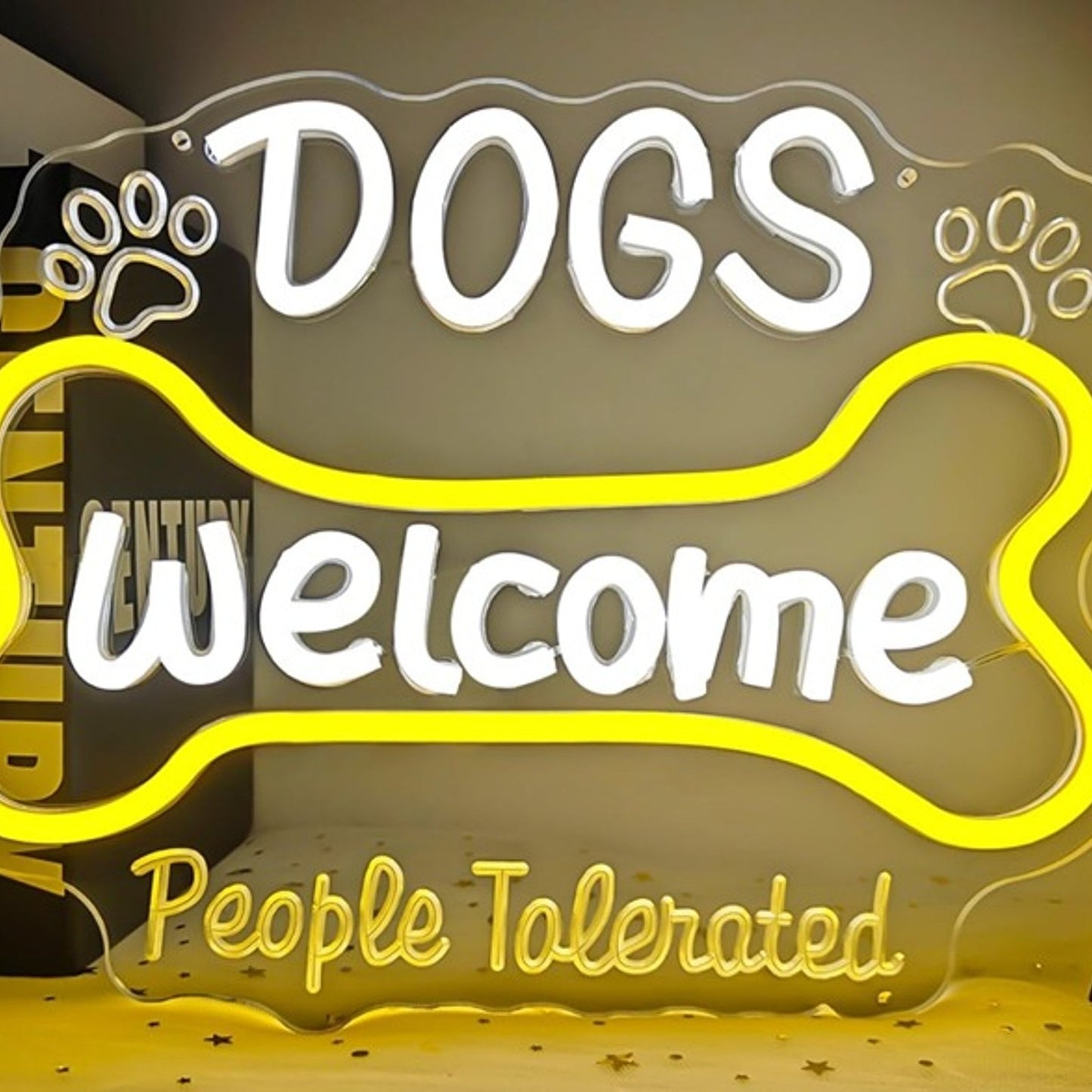 Fun Bright “Dogs Welcome, People Tolerated” LED Night Light Room Wall Decoration