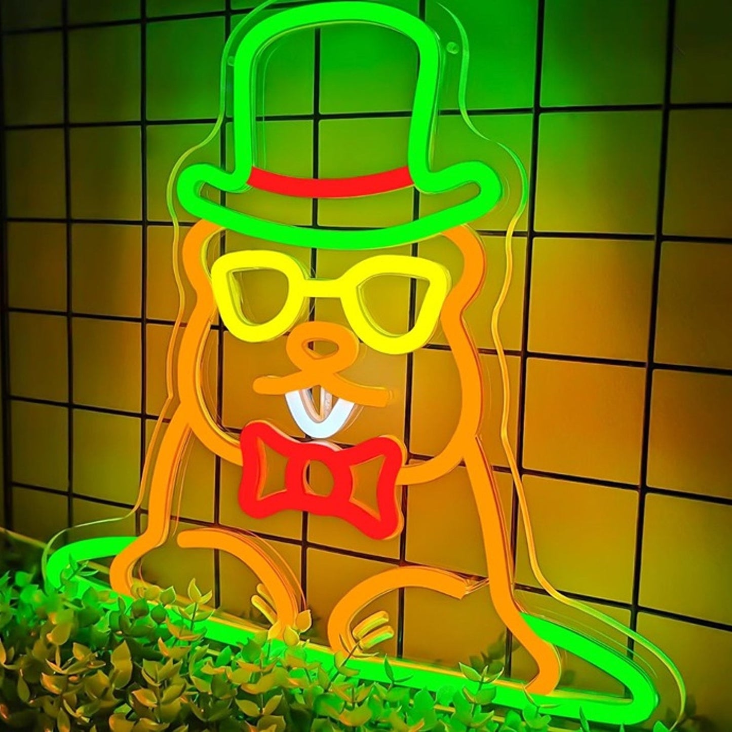 Fun Bright Colorful Dressed Up Groundhog LED Night Light Room Wall Decoration