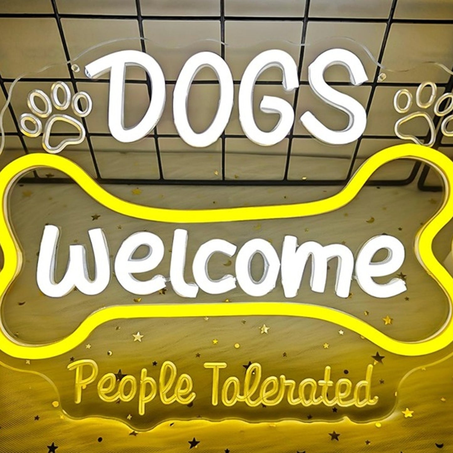 Fun Bright “Dogs Welcome, People Tolerated” LED Night Light Room Wall Decoration