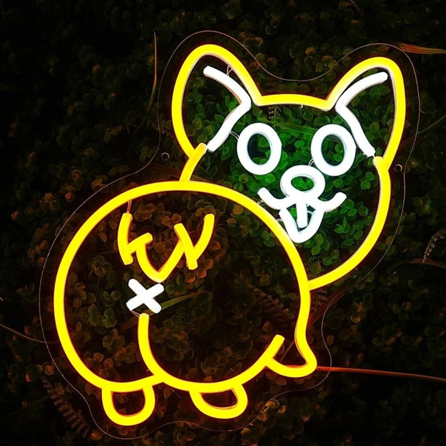 Funny Bright Corgi Booty Puppy Dog LED Night Light Room Wall Decor