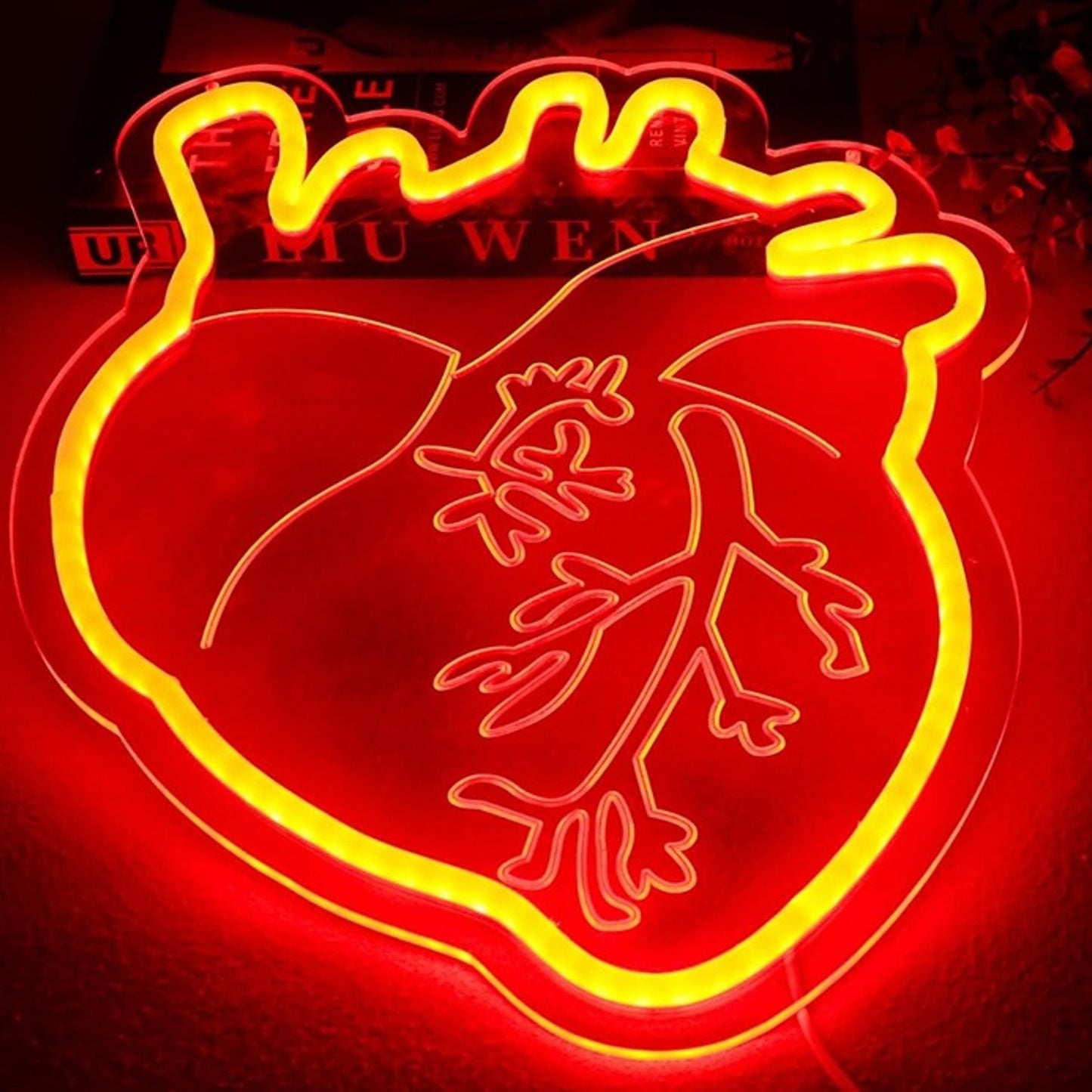 Vivid Bright Red Human Heart LED Night Light Biology Science Room Wall Decor