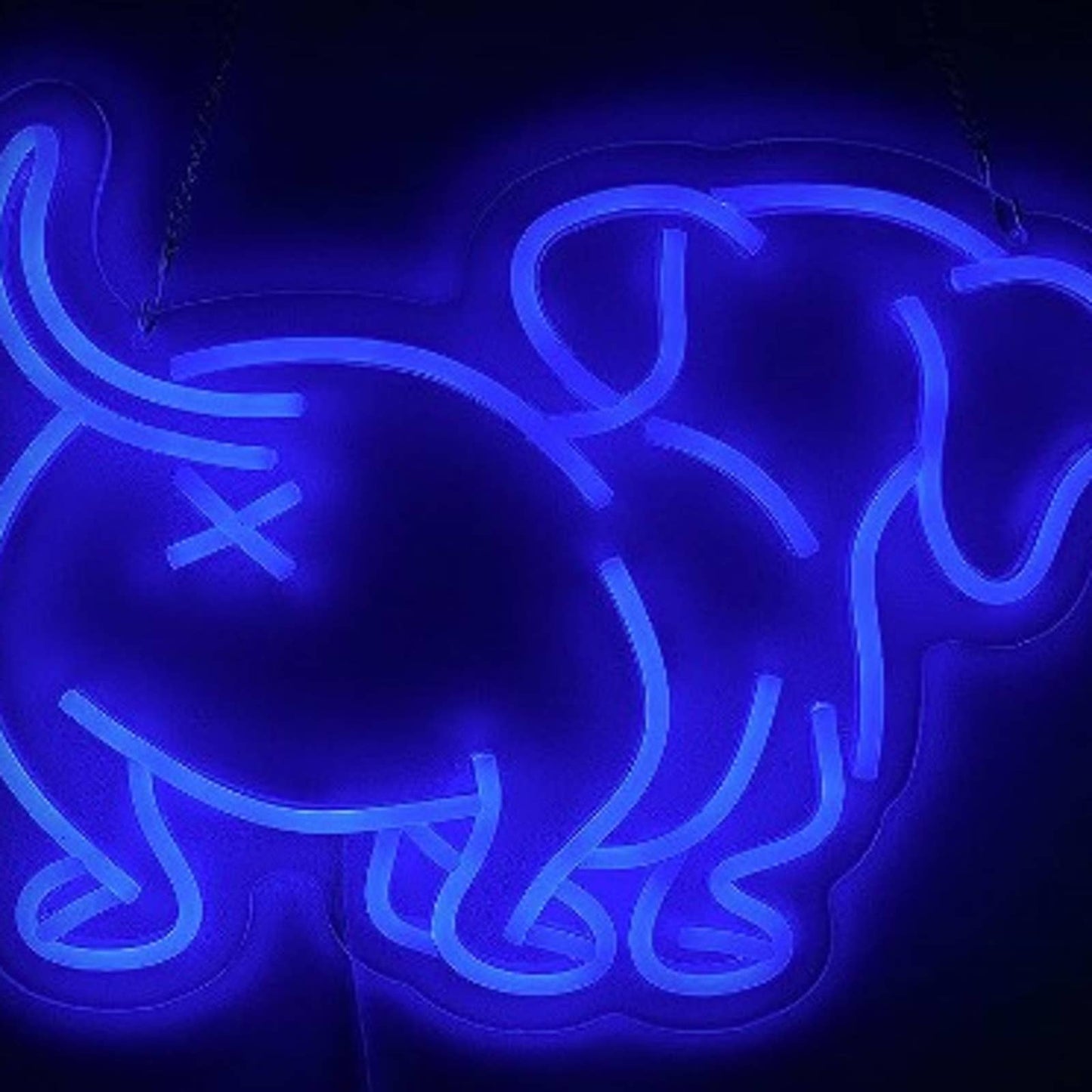 Funny Bright Blue Weiner Puppy Dog Butt LED Night Light Room Wall Decor