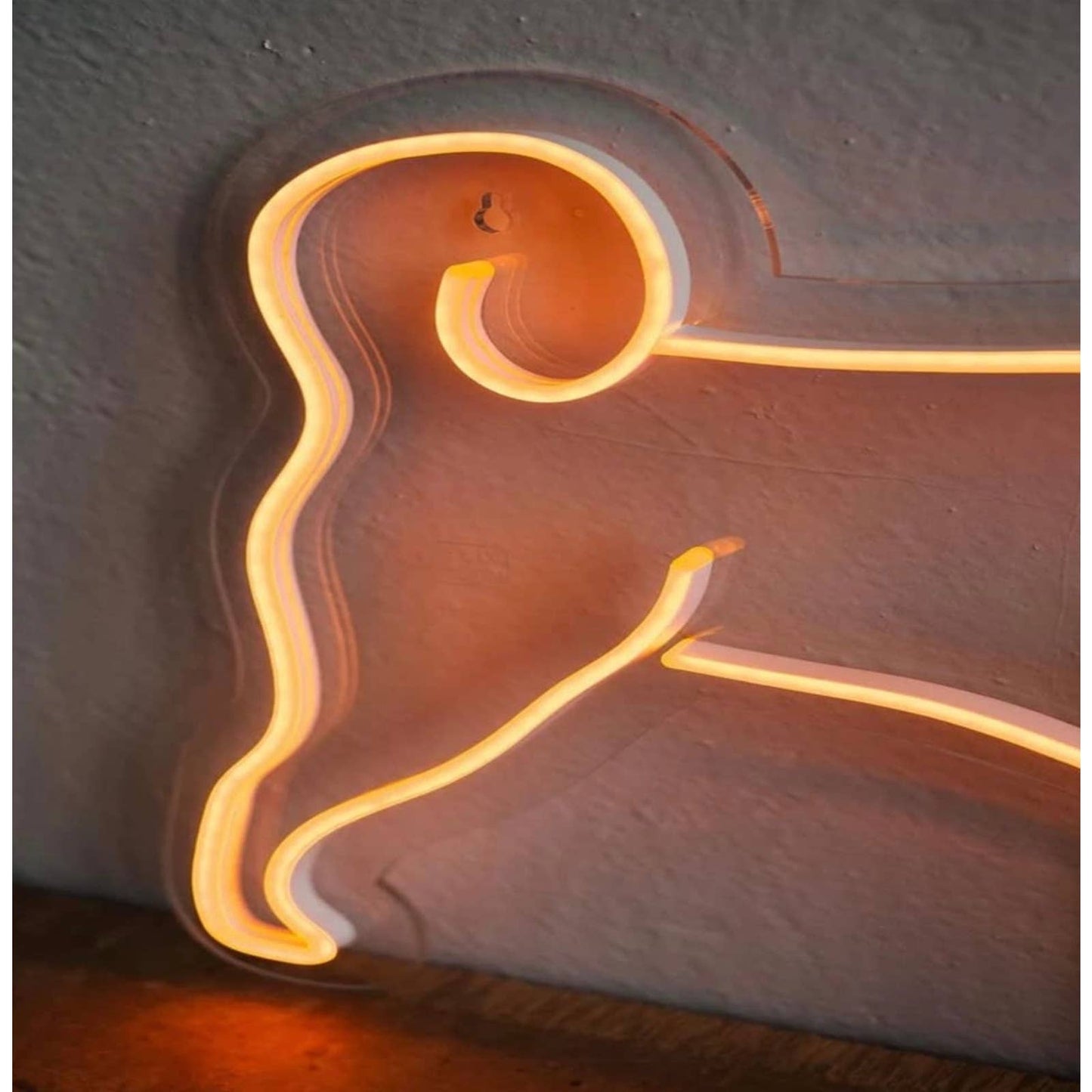 Lovely Bright Shiba Inu Puppy Dog LED Night Light Room Wall Decoration