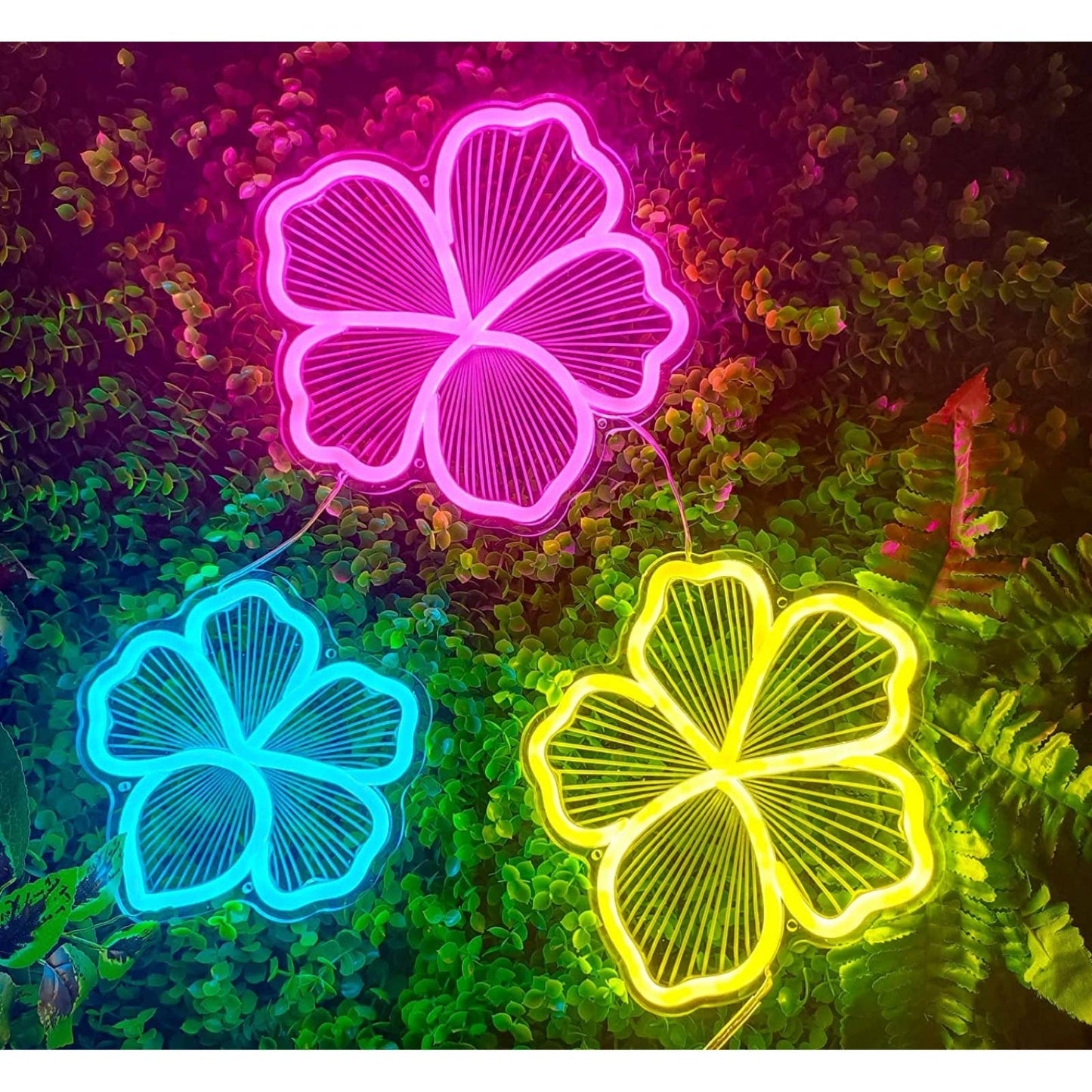 Lovely Bright Colorful 3 Piece Bundle Flower LED Night Light Room Wall Decoratio