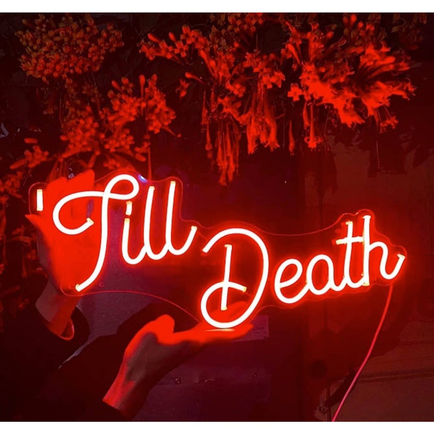 Vivid Lovely Bright Red “Till Death” LED Night Light Room Wall Decoration