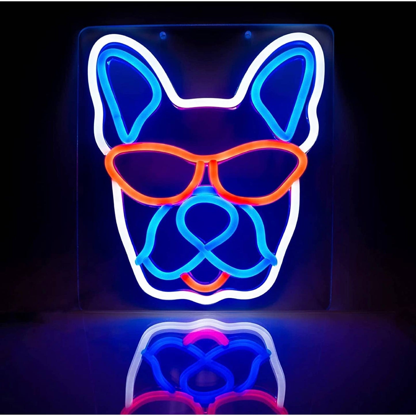 Fun Bright Blue French Bulldog Frenchie in Red Sunglasses LED Night Light Room W