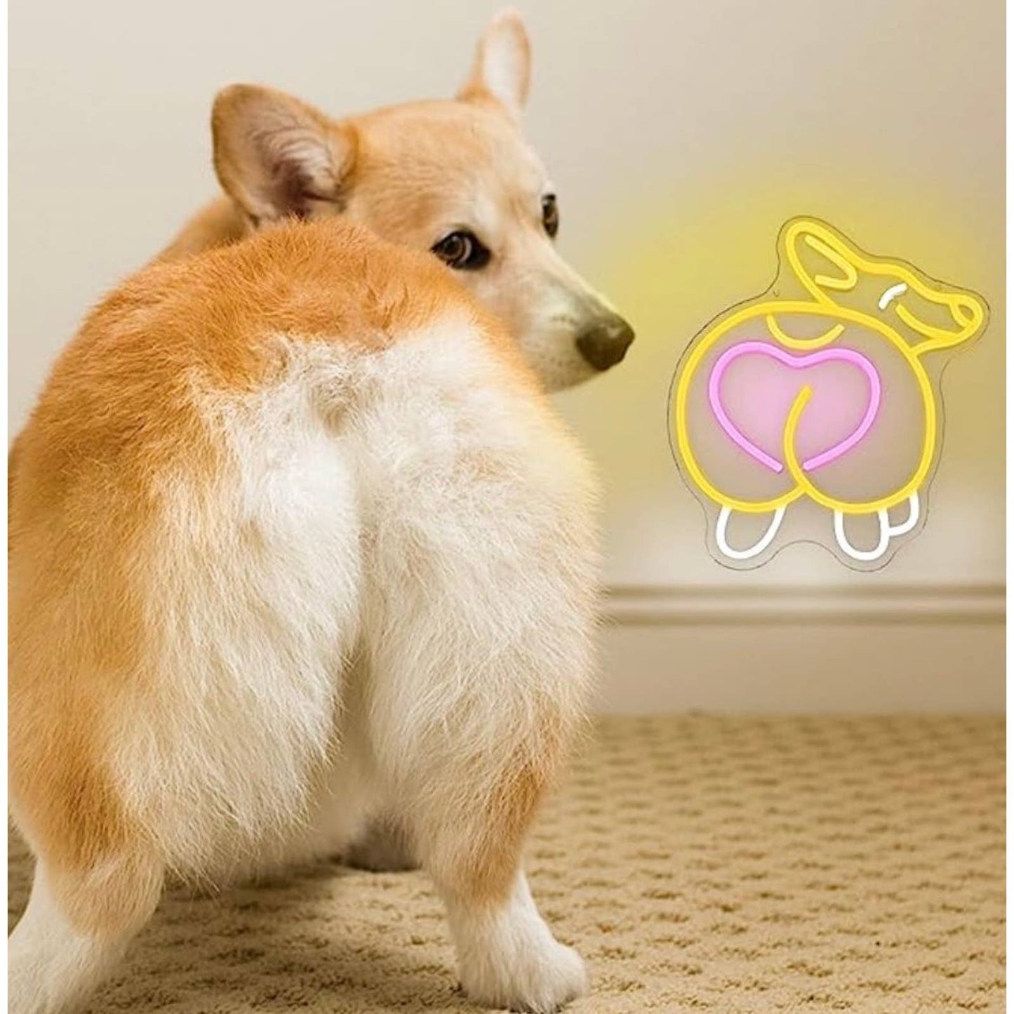 Funny Bright Cute Corgi Puppy Dog Heart Booty LED Night Light Room Wall Decorati