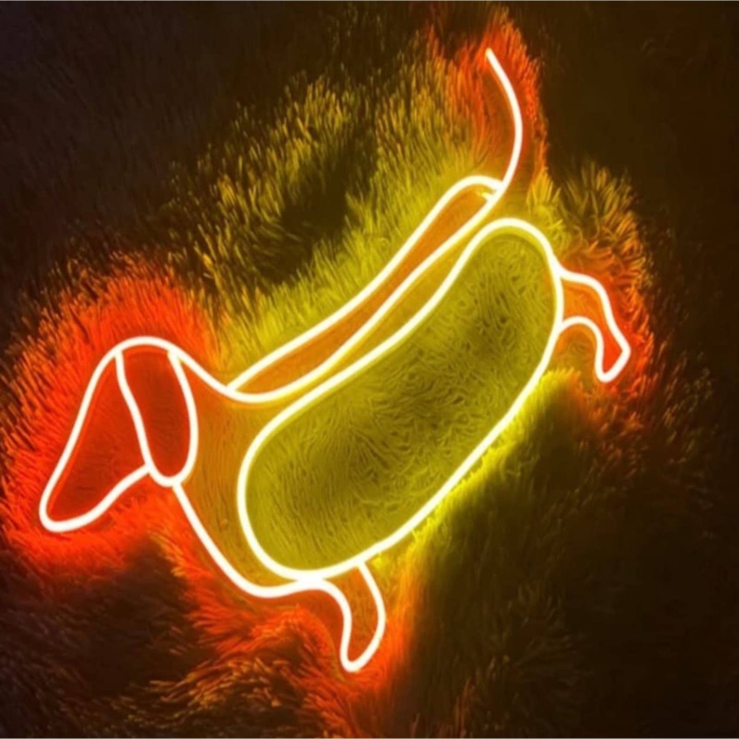Adorable Dachshund Hot Dog Bun LED Night Light Room Wall Pet Decoration