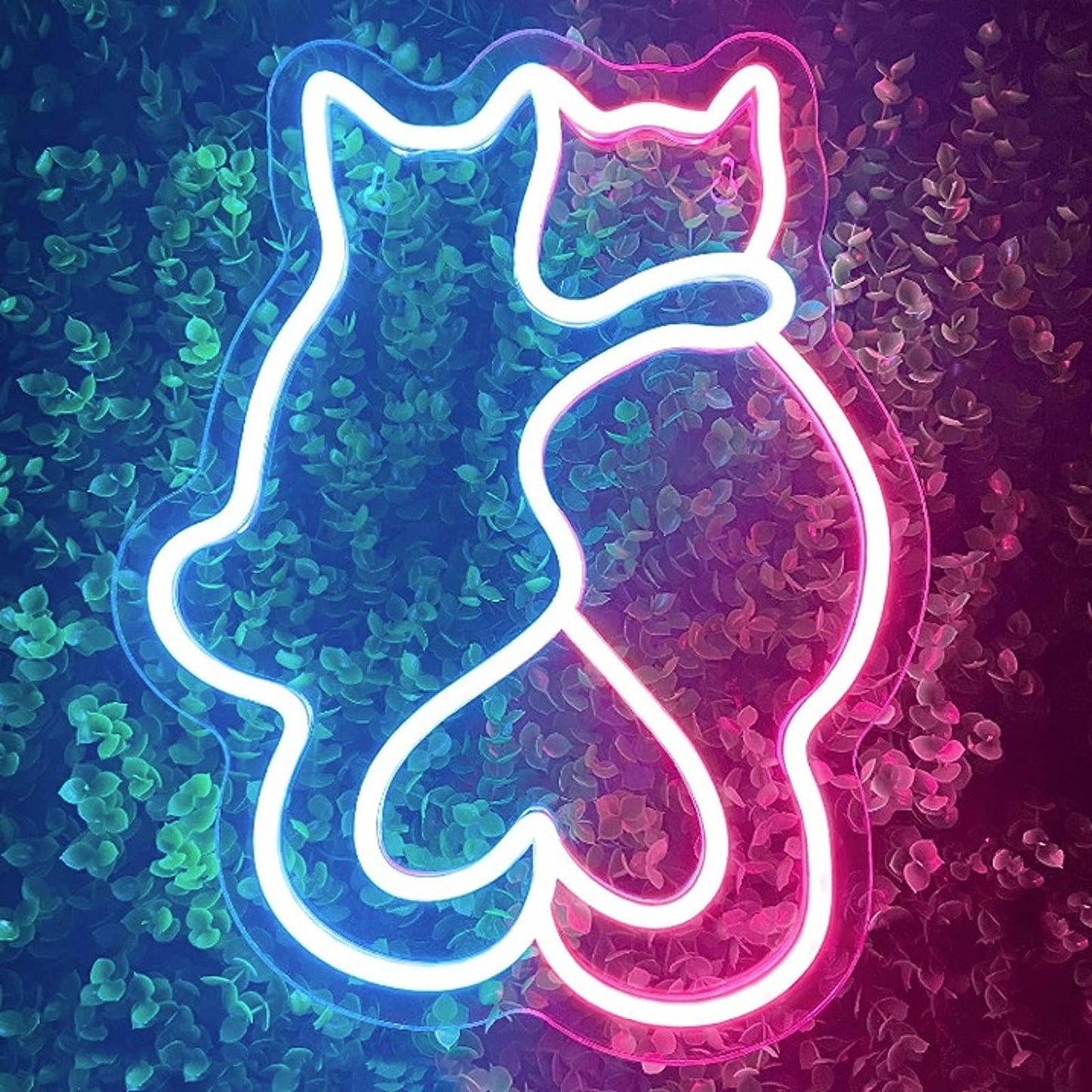 Adorable Bright Kitty Cat Pals LED Night Light Room Wall Decoration