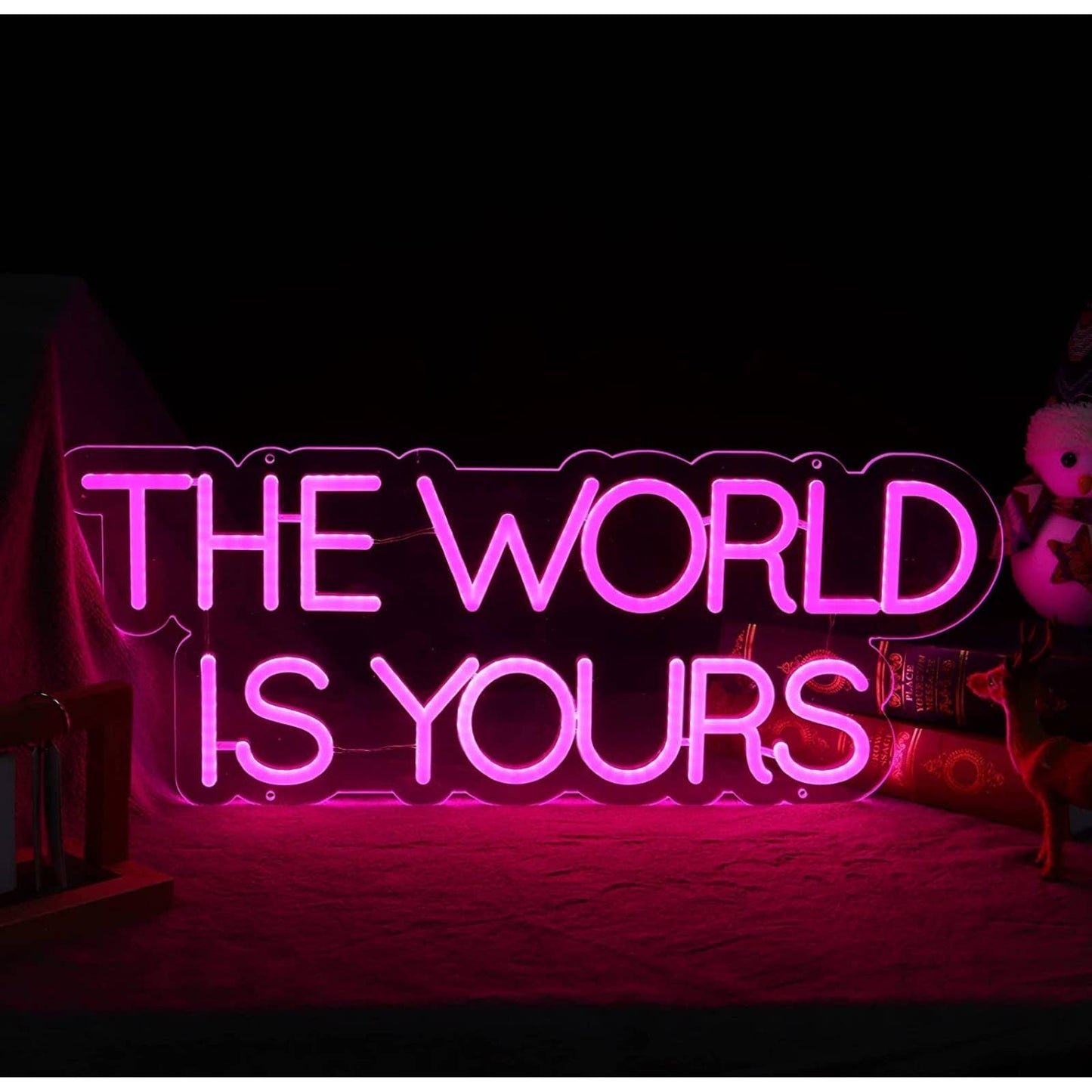 Lovely Bright Pink Empowering “The World is Yours” LED Night Light Room Wall Dec