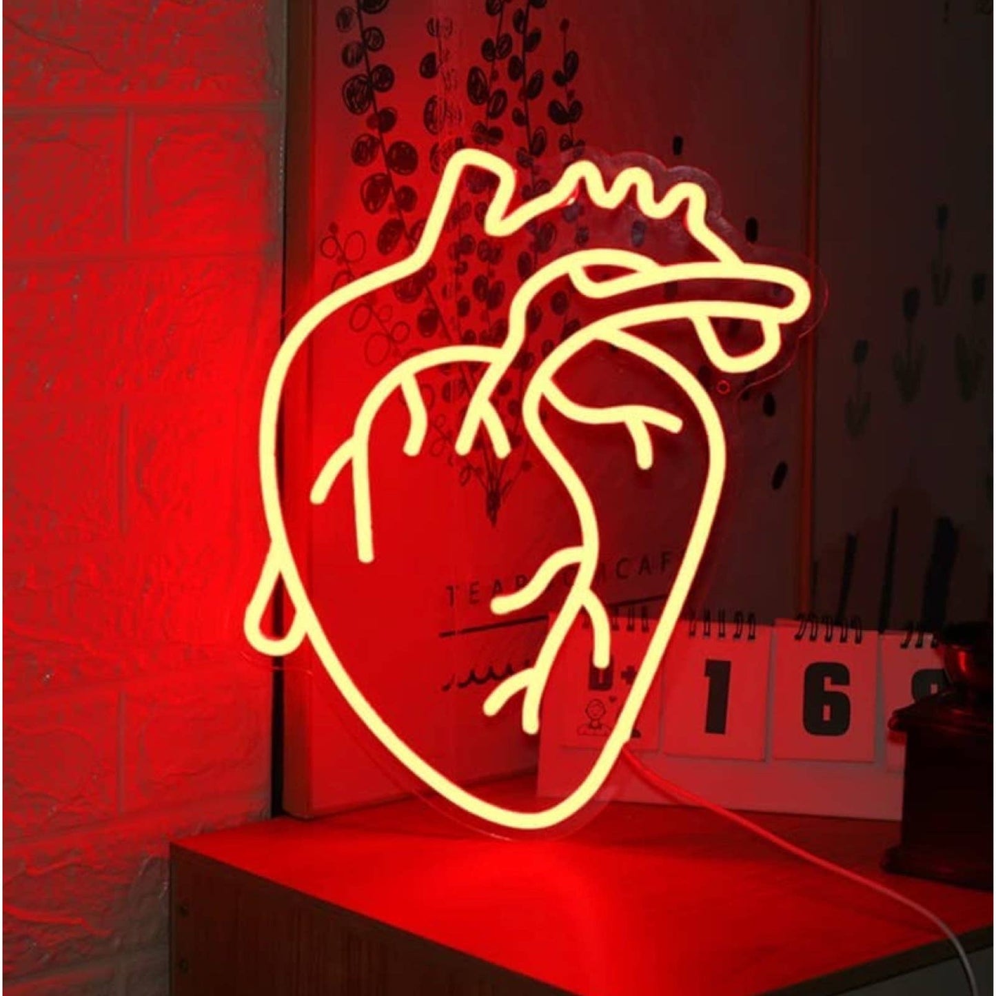 Bright Red Realistic Human Heart LED Night Light Room Wall Anatomy Decor