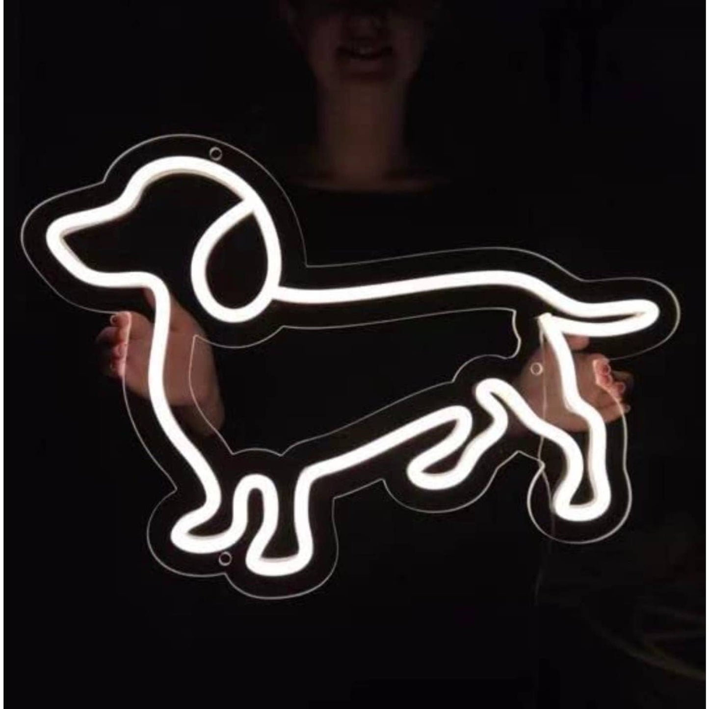 Lovely Bright White Weiner Dog LED Night Light Room Wall Decoration