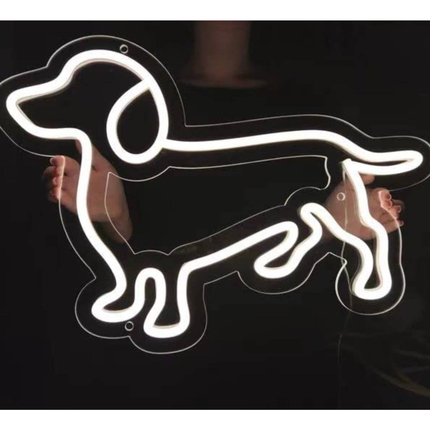 Lovely Bright White Weiner Dog LED Night Light Room Wall Decoration