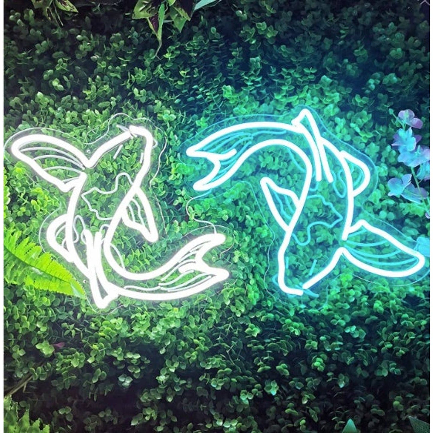 Lovely Bright Blue / White Japanese Koi Fish LED Night Light Room Wall Art Decor