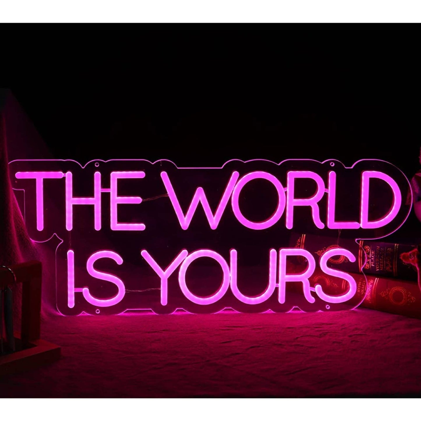 Lovely Bright Pink Empowering “The World is Yours” LED Night Light Room Wall Dec