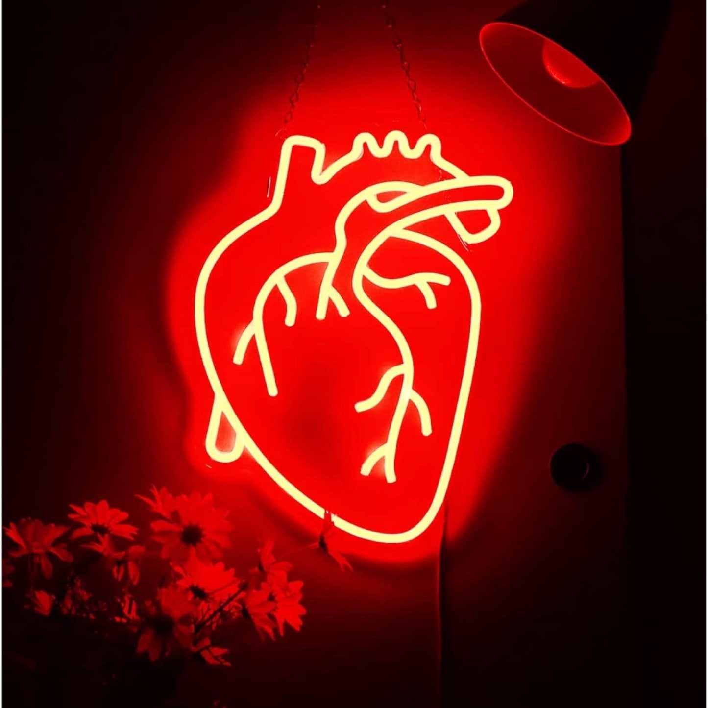 Bright Red Realistic Human Heart LED Night Light Room Wall Anatomy Decor