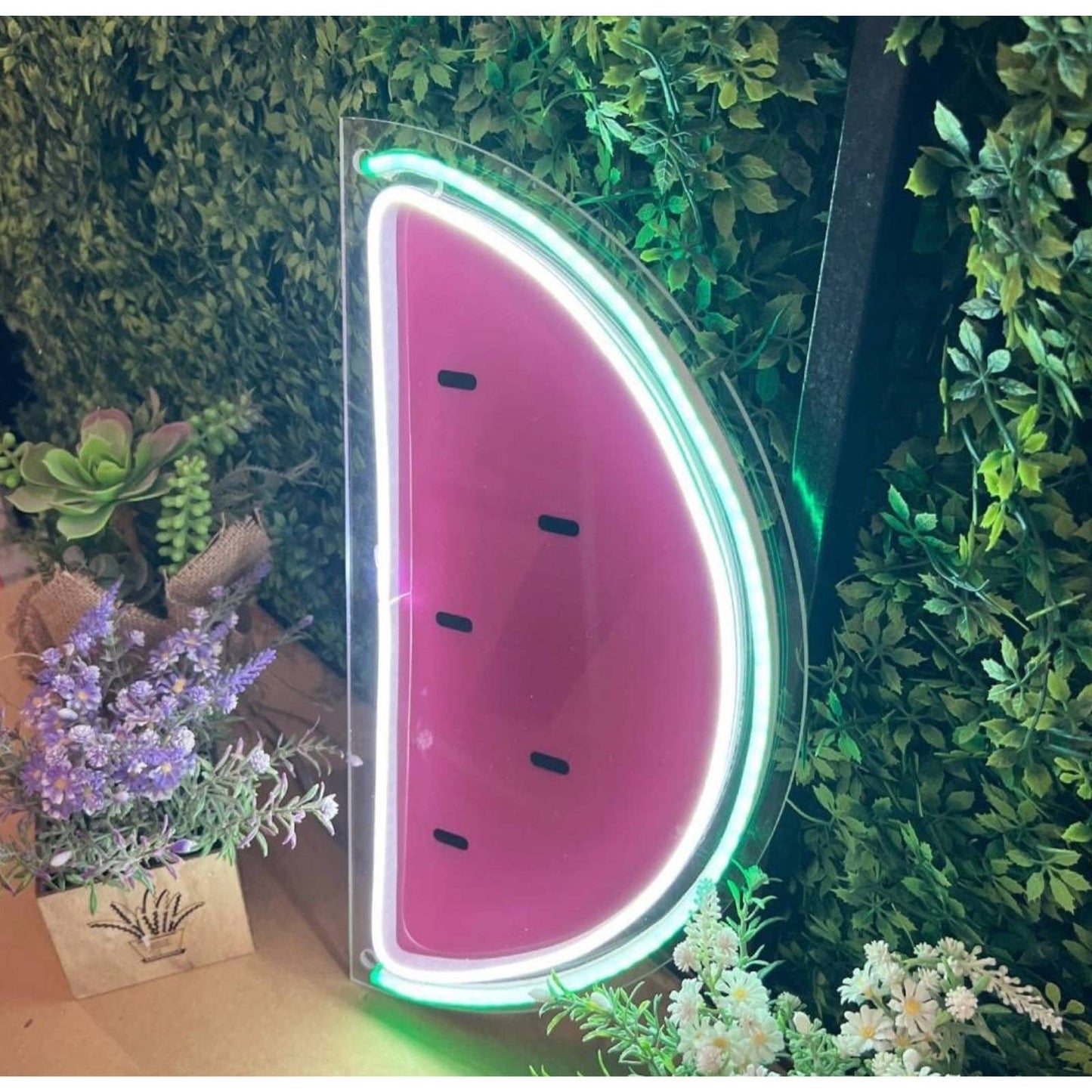 Fun Larger Pink / Green Watermelon LED Night Light Room Wall Decoration