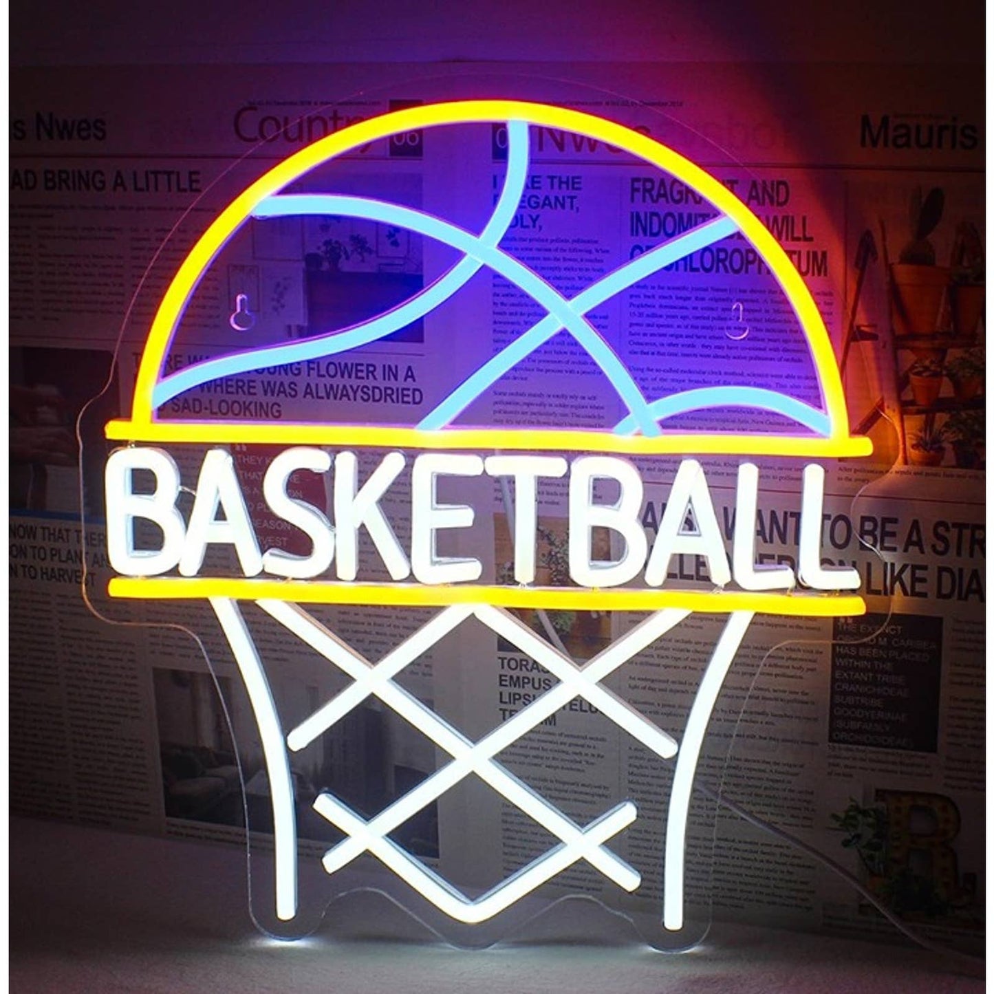 Vivid Bright Basketball & Net LED Night Light NBA Room Wall Decor