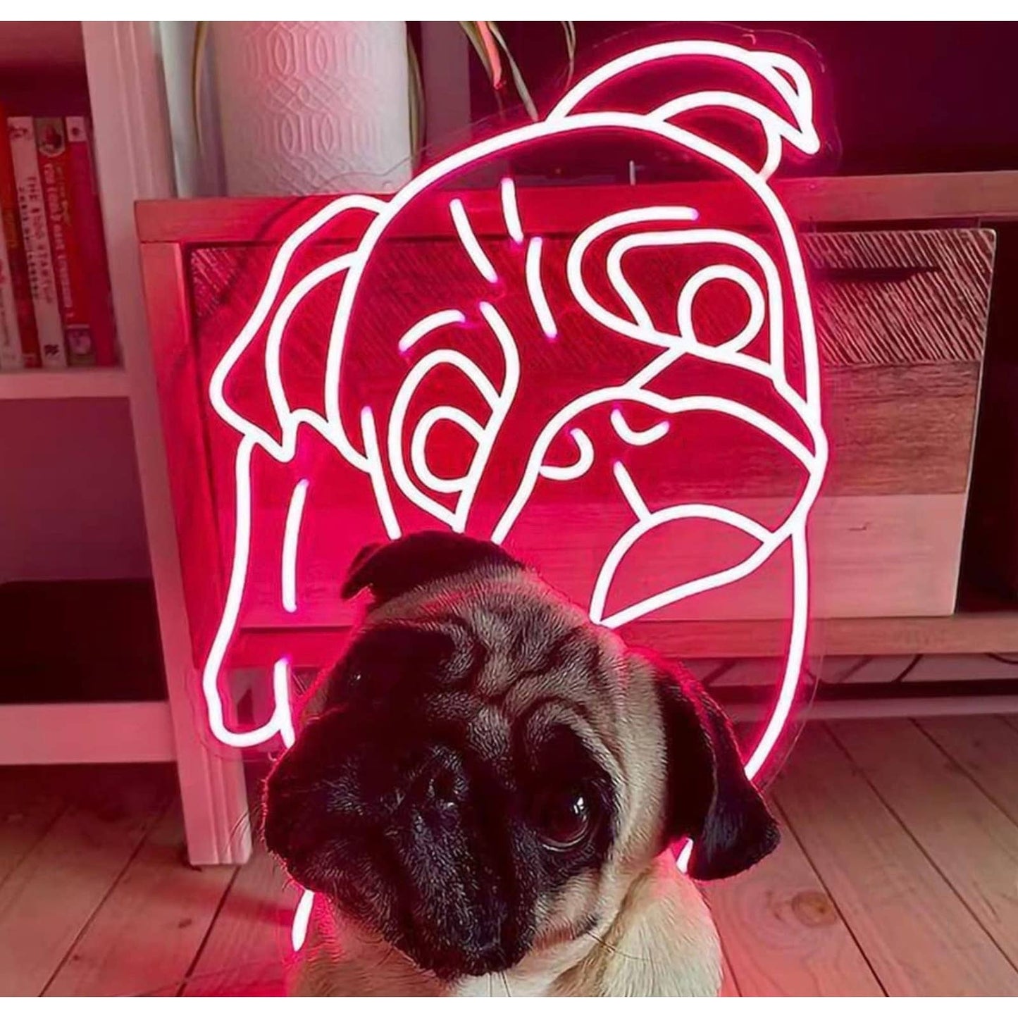 Adorable Bright Pink Pug Puppy Dog LED Night Light Room Wall Decor