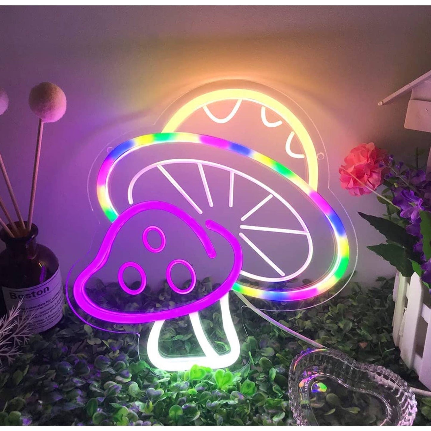 Lovely Bright Rainbow Colors Mushroom Bundle LED Night Light Set Room Wall Decor