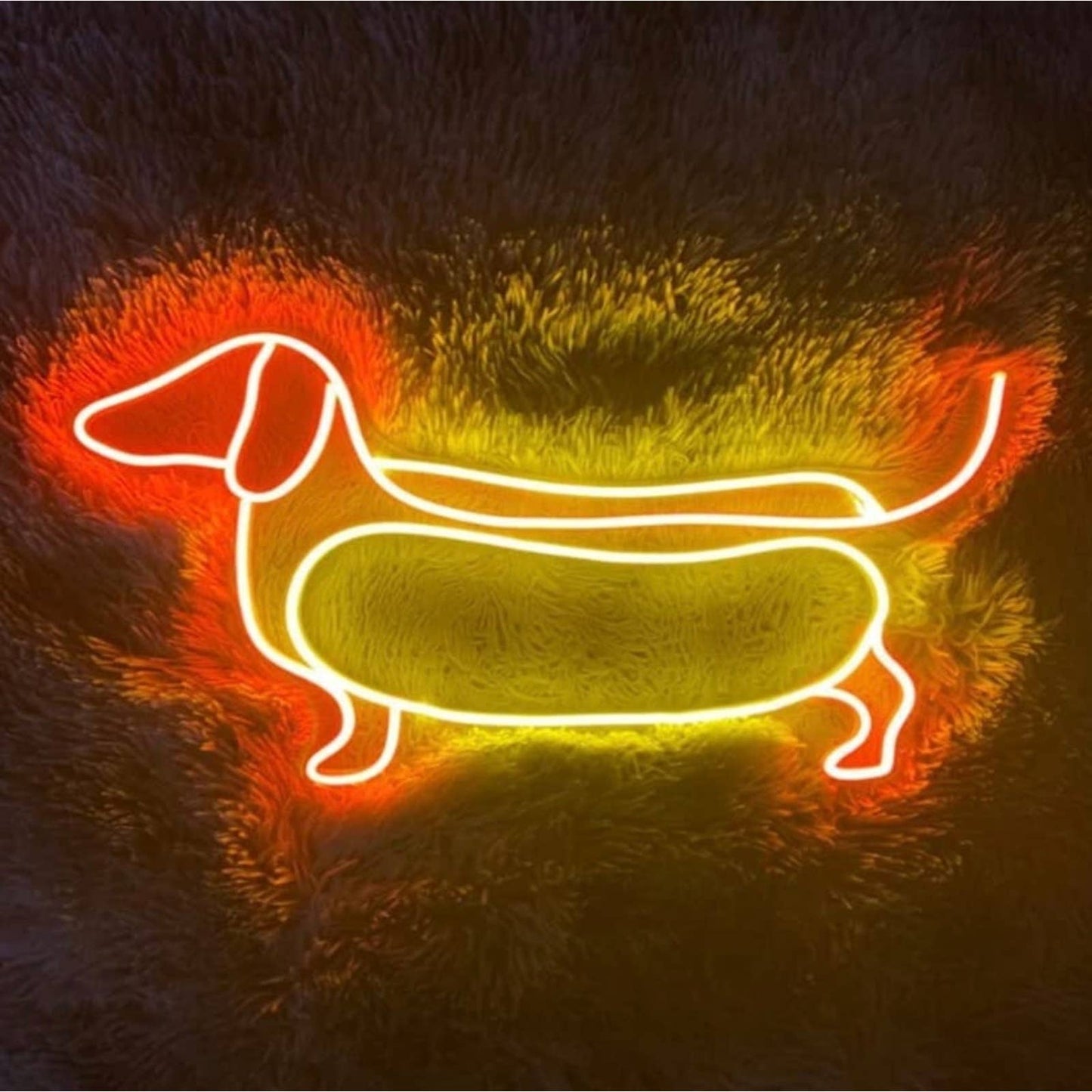 Adorable Dachshund Hot Dog Bun LED Night Light Room Wall Pet Decoration