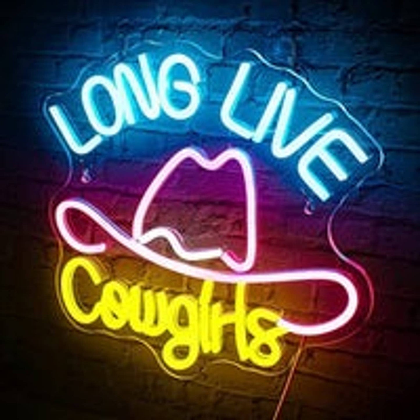 Fun Bright Vivid Colorful Long Live Cow Girls Hat LED Night Light Country Room W