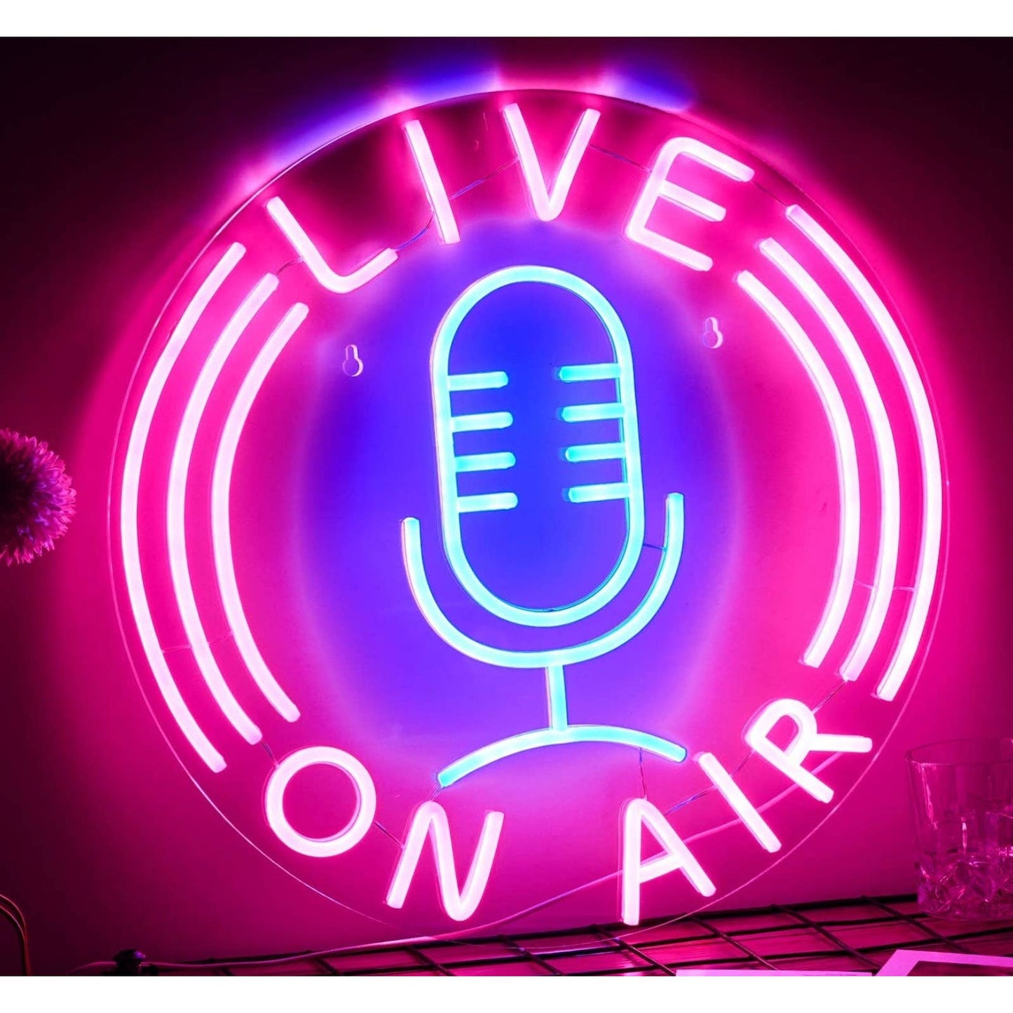 Vivid Bright Pink Blue Live Microphone LED Night Light Room Wall Decoration