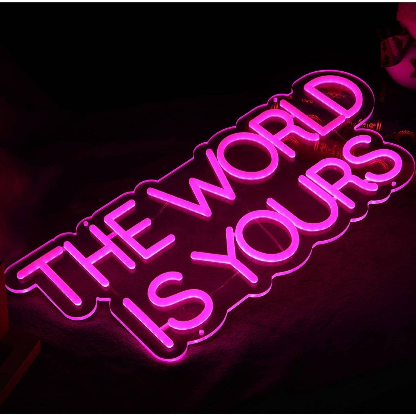 Lovely Bright Pink Empowering “The World is Yours” LED Night Light Room Wall Dec
