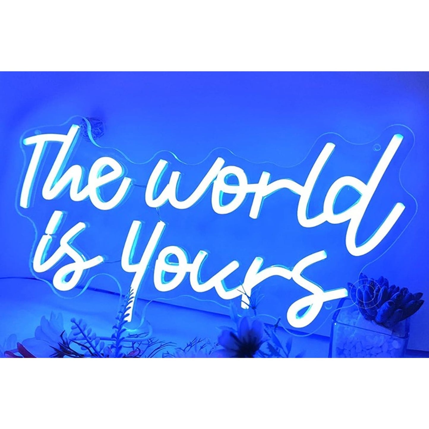 Lovely Simple Blue “The World is Yours” LED Light Room Wall Decoration