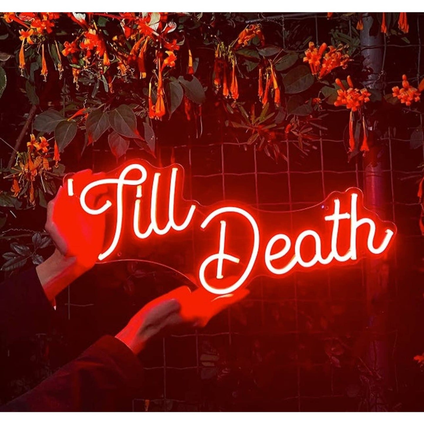 Vivid Lovely Bright Red “Till Death” LED Night Light Room Wall Decoration