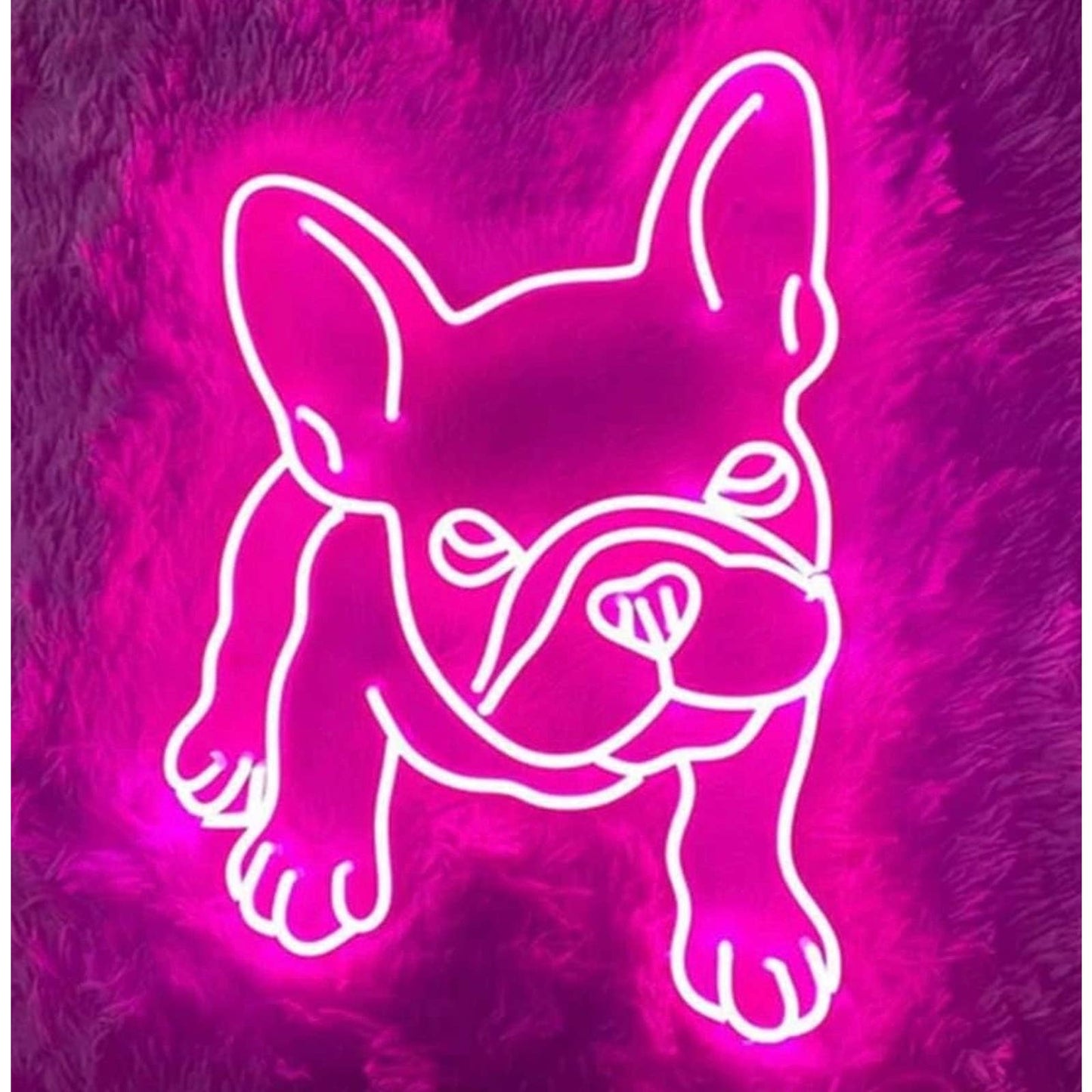 Adorable Bright Pink Baby French Bulldog Frenchie LED Night Light Room Wall Deco