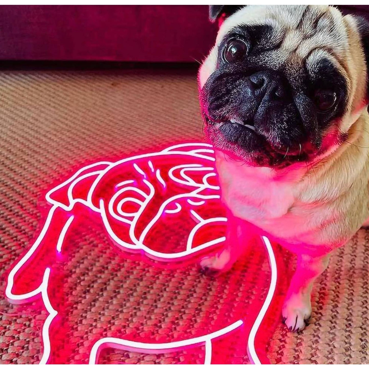 Adorable Bright Pink Pug Puppy Dog LED Night Light Room Wall Decor