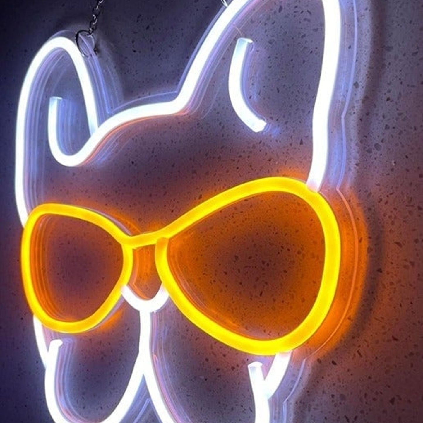 Fun Bright Frenchie French Bulldog w/ Orange Sunglasses LED Light Pet Decor