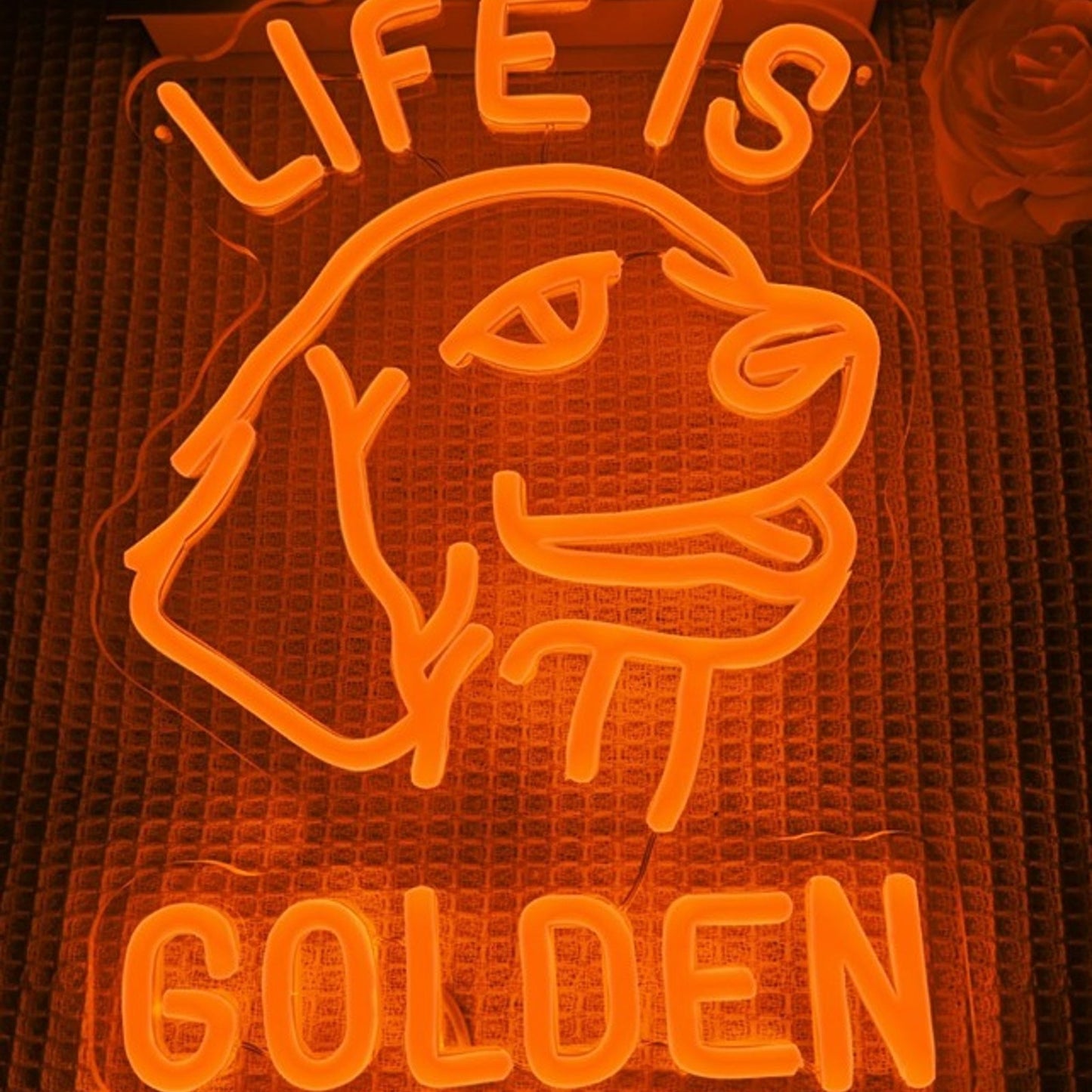 Fun Bright “Life is Golden” Golden Retriever LED Night Light Room Wall Decor