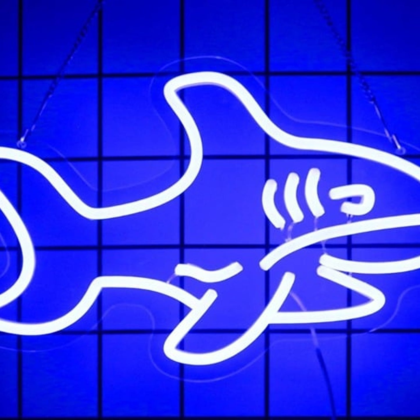 Fun Bright Bleu Shark LE Night Light Room Wall Decor