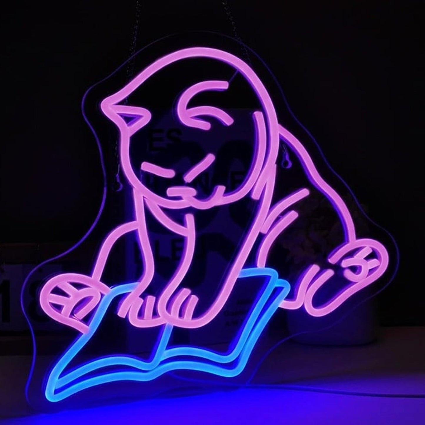Fun Bright Pink Kitty Cat Reading a Book LED Night Light Room Wall Decoration