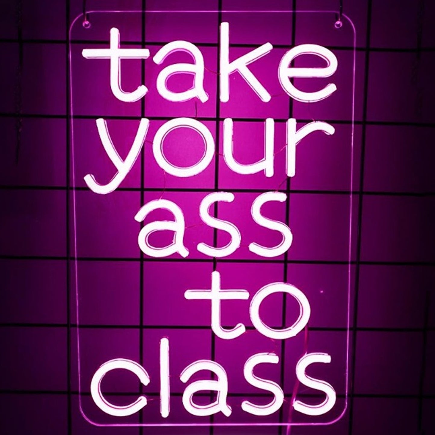 Fun Bright Pink “Take Your Butt to Class” LED Night Light Room Wall Decoration