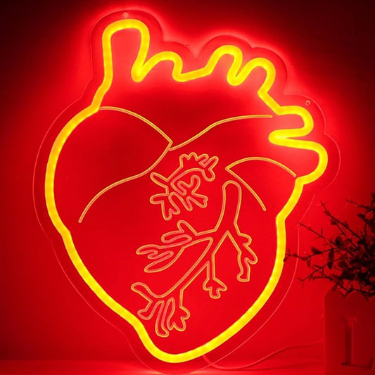 Vivid Bright Red Human Heart LED Night Light Biology Science Room Wall Decor