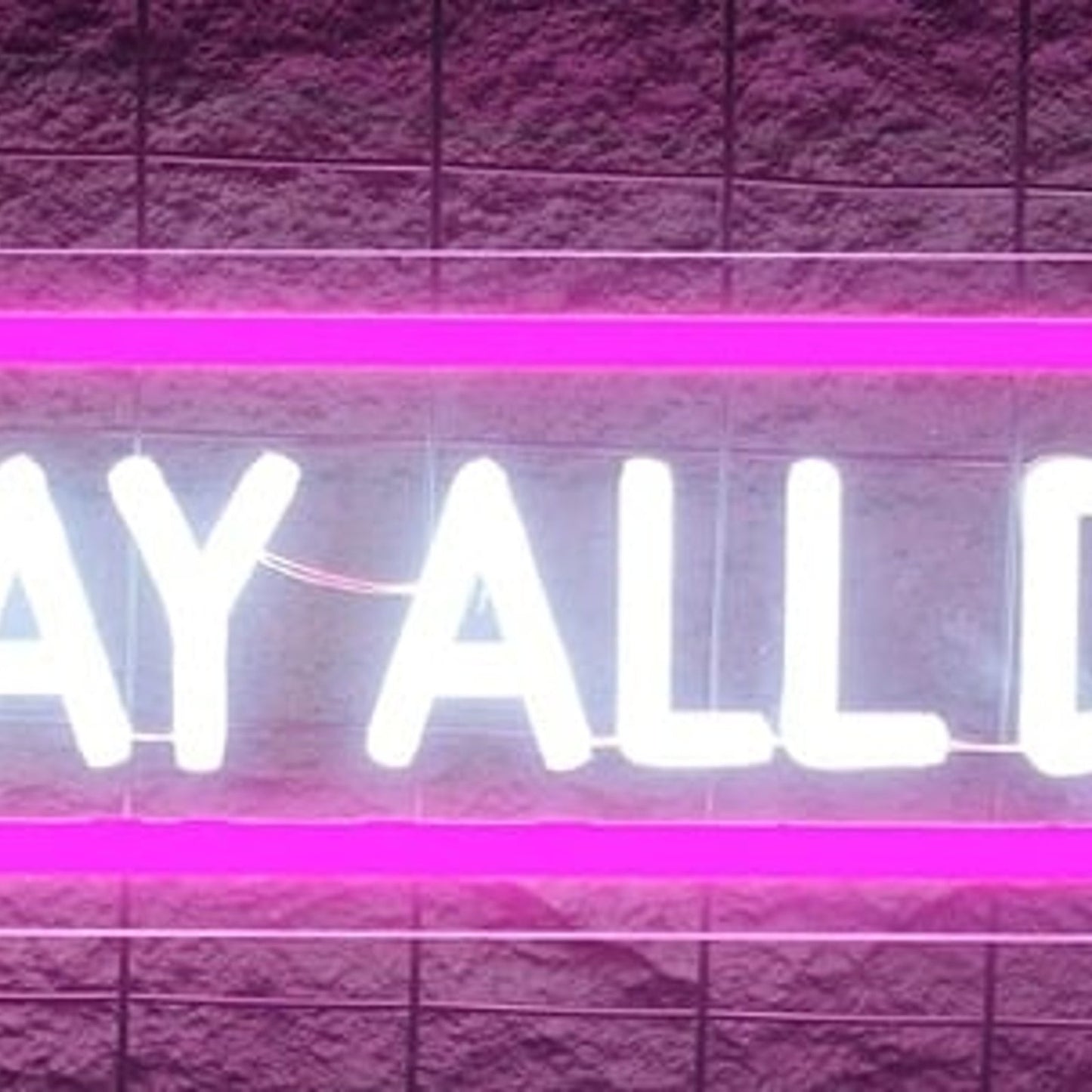 Fun Bright Pink / White “Slay All Day” LED Night Light Room Wall Decoration