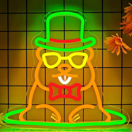 Fun Bright Colorful Dressed Up Groundhog LED Night Light Room Wall Decoration