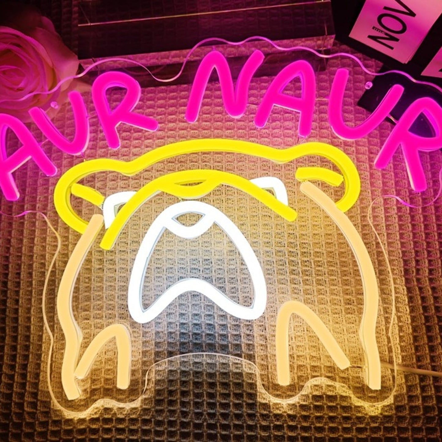 Fun Bright Colorful Panicking Hamster “Our Naur” Oh No! Light Room Wall Decor
