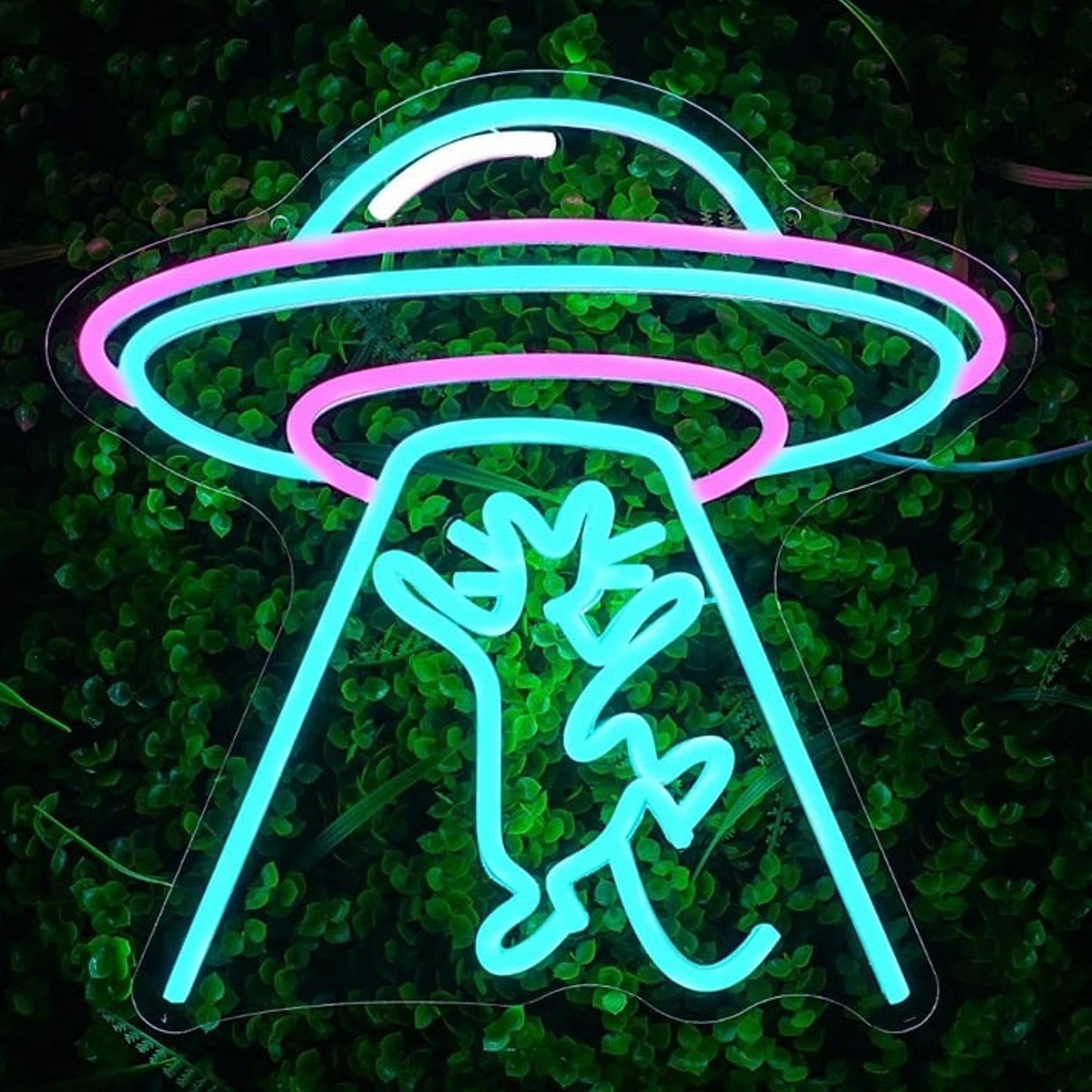 Fun Alien Spaceship UFO Taking Kitty Cat LED Night Light Room Wall Decor