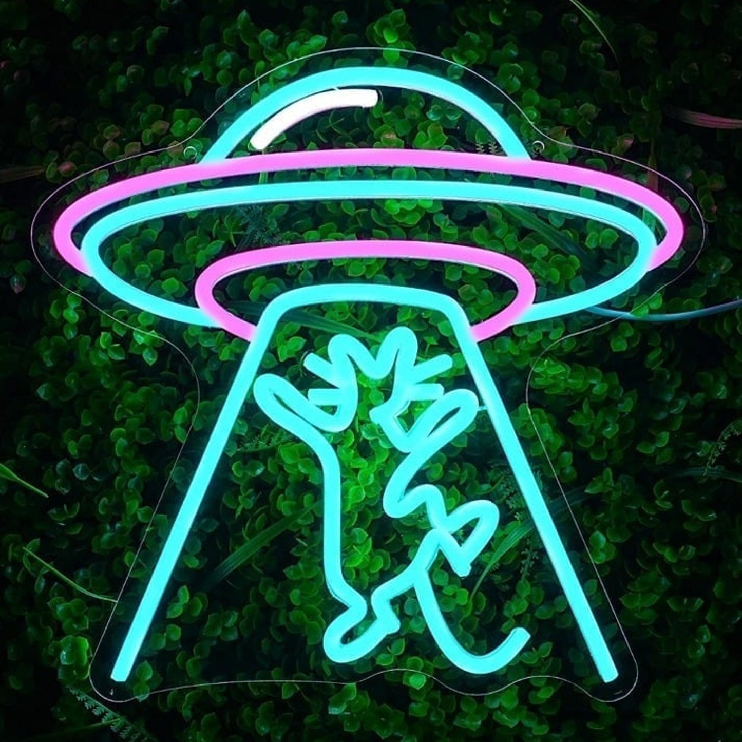 Fun Alien Spaceship UFO Taking Kitty Cat LED Night Light Room Wall Decor