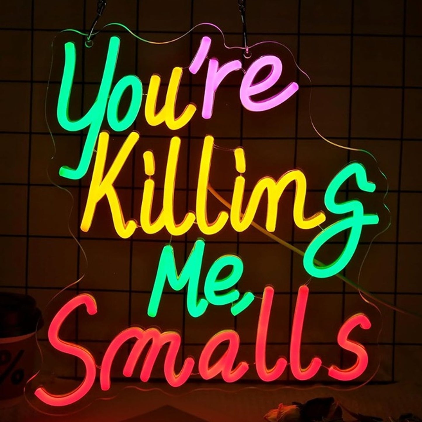 Fun Bright Colorful “You’re Killing Me Smalls” LED Night Light Room Wall Decor