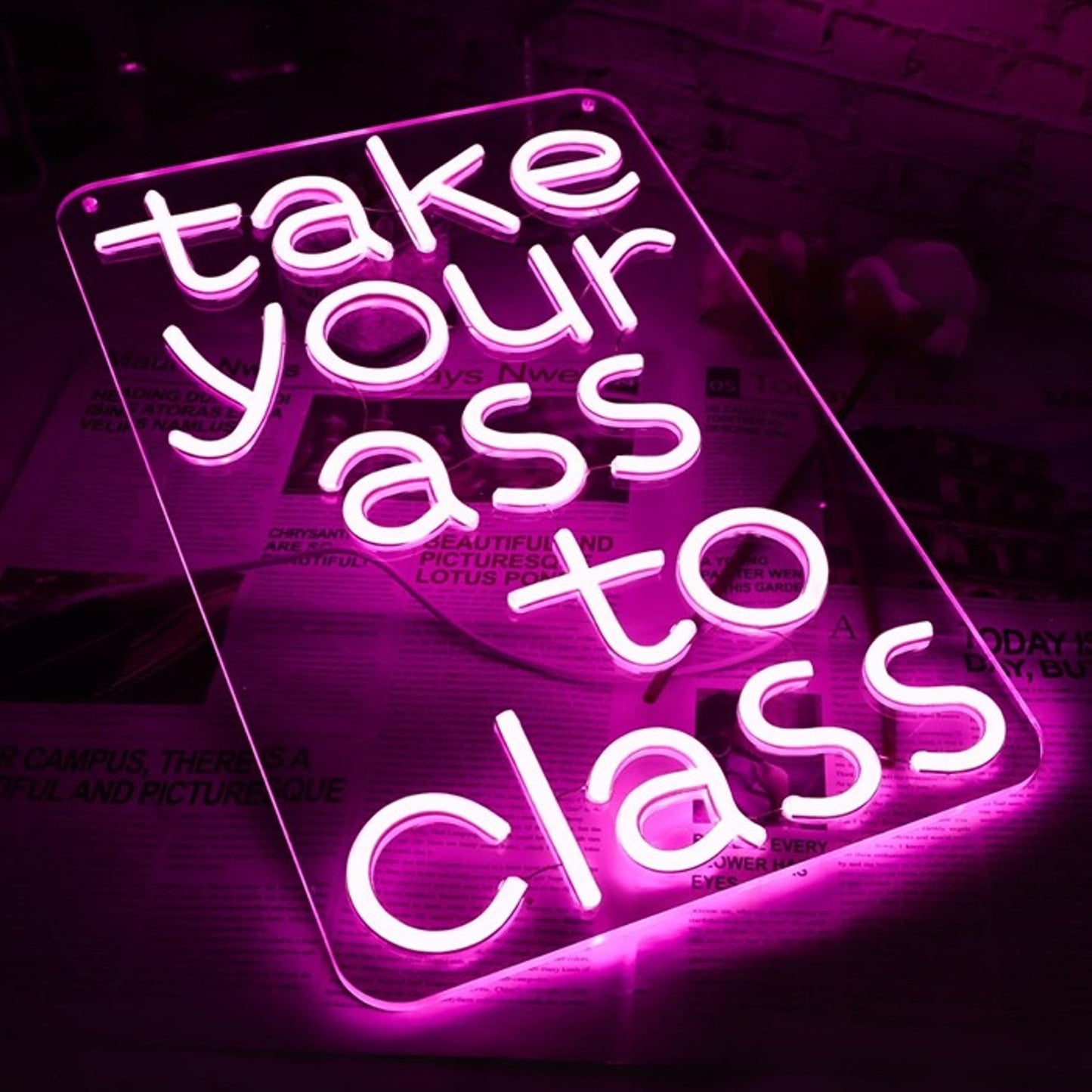 Fun Bright Pink “Take Your Butt to Class” LED Night Light Room Wall Decoration