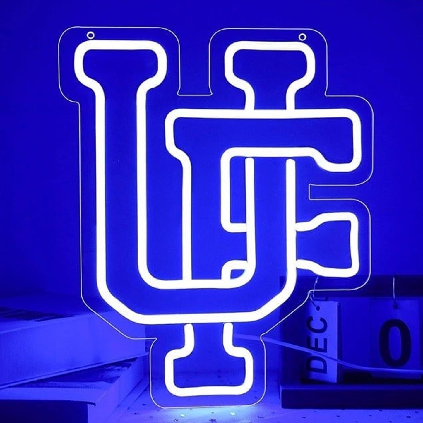 Vivid Bright Florida Gators UF Logo LED Night Light University Decor