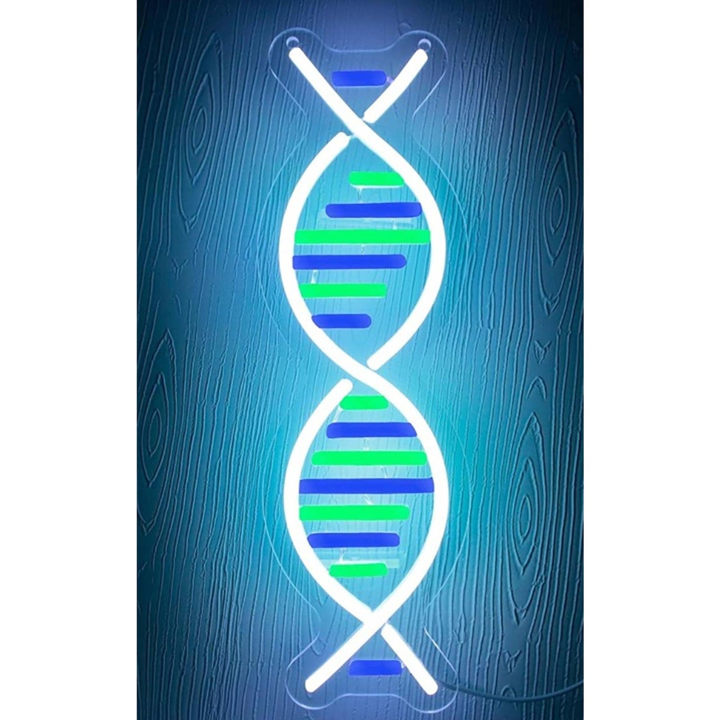 Vivid Bright DNA LED Night Light Science Room Wall Decor